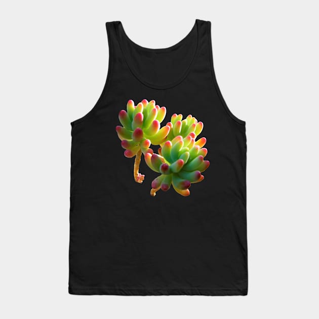 sedum pachyphyllum Tank Top by NerdsbyLeo